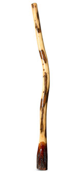 Ironbark Didgeridoo (IB199)